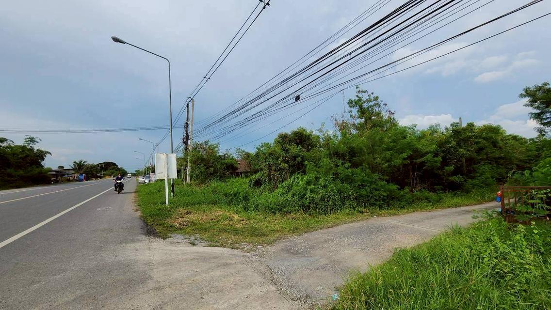 ขายด่วน ที่ดินเปล่า 1 ไร่ ขายรวม 4 แปลง  ถนนลำลูกกา คลอง 12 เข้าซอยเพียง 500 เมตร 4