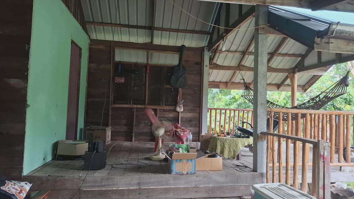 บ้านสองหลังพร้อมที่ดินสองไร่ 3