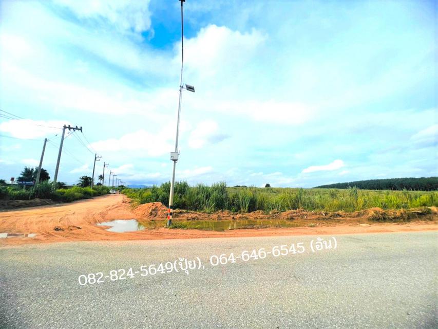ขาย ที่ดิน WF126 ผัง EEC สีม่วงลาย หนองขาม ศรีราชา ชลบุรี ขนาด 146 ไร่ 1 งาน 52.7 ตร.วา ติดถนน ชบ.5068 หน้ากว้าง 303 m ไ 2