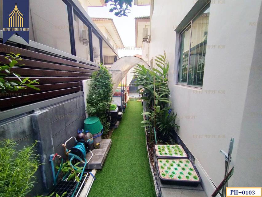 ขายบ้านแฝด พร้อมพัฒน์ กรีนโนวา ปัญญาเนเชอรัลปาร์ค สามวาตะวันตก คลองสามวา พร้อมเข้าอยู่ 4