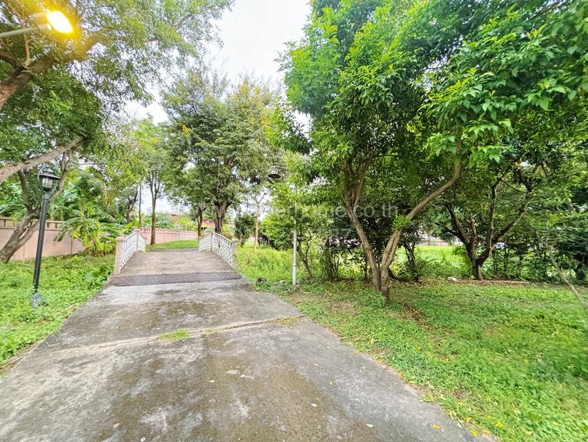 ที่ดิน พร้อมบ้านเดี่ยวทรงไทย 2 ชั้น พหลโยธิน 64 กม.27 ต.คูคต อ.ลำลูกกา จ.ปทุมธานี 11