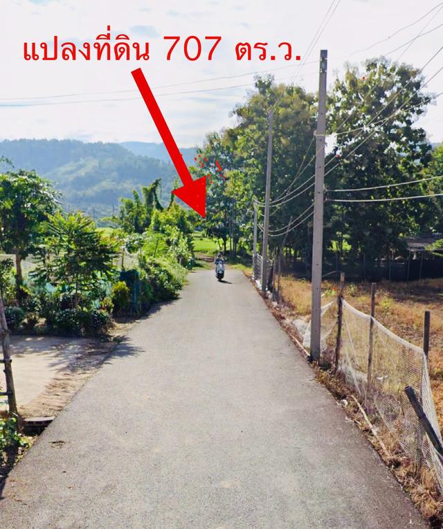 ขายที่ดิน ปัว น่าน 707 ตร.ว. ราคา 1.9 ล้าน 14