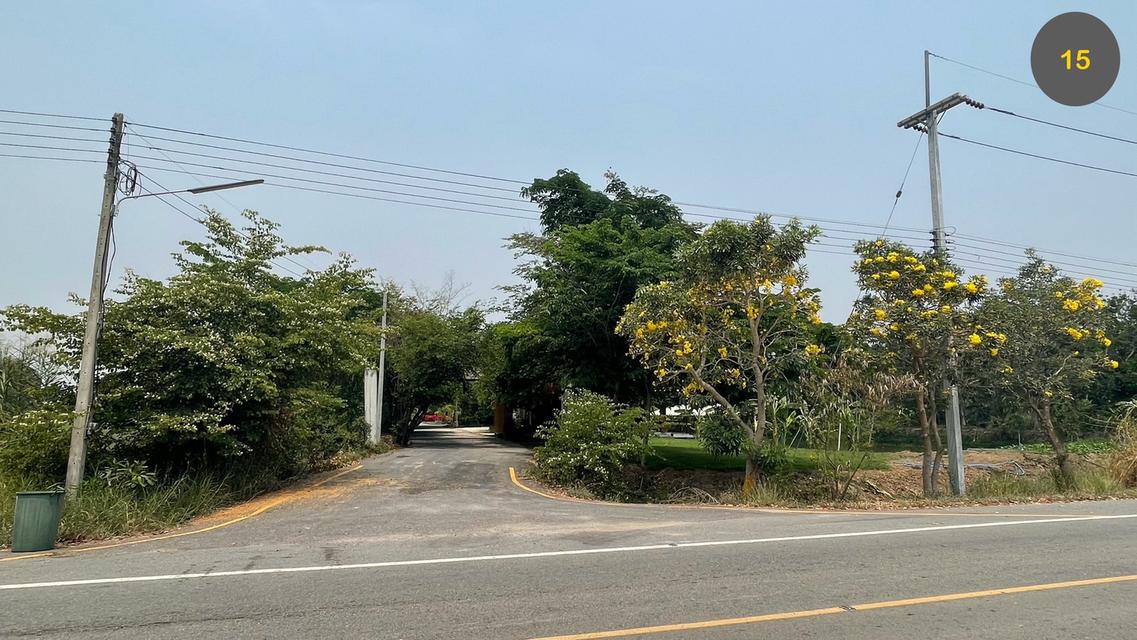 ที่ดินพร้อมสิ่งปลูกสร้าง 14