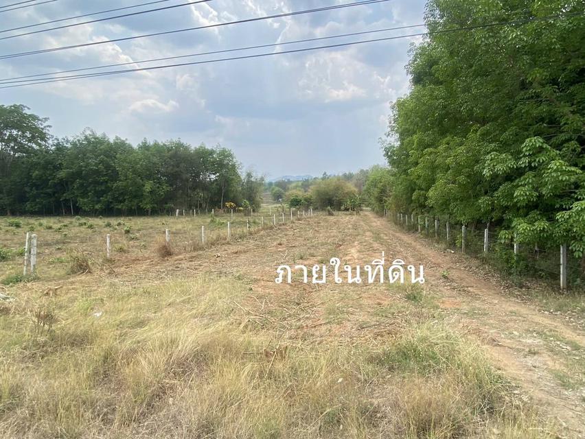 ขายที่ดิน 9 ไร่ ต จอมศรี อ เชียงคาน เลย ติดถนนใหญ่ขายต่ำกว่าราคาประเมิน60เปอร์เซ็น ุ 6