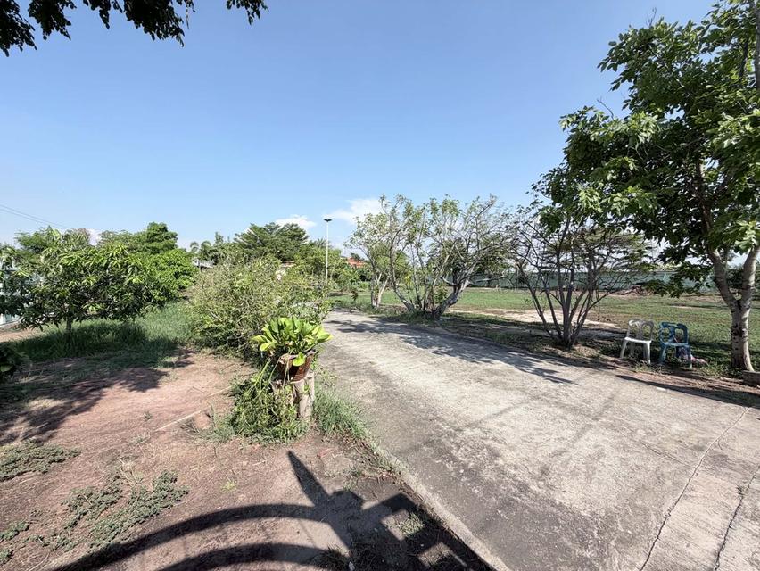 บ้านเดี่ยวและเรือนรับรองพร้อมที่ดิน 9