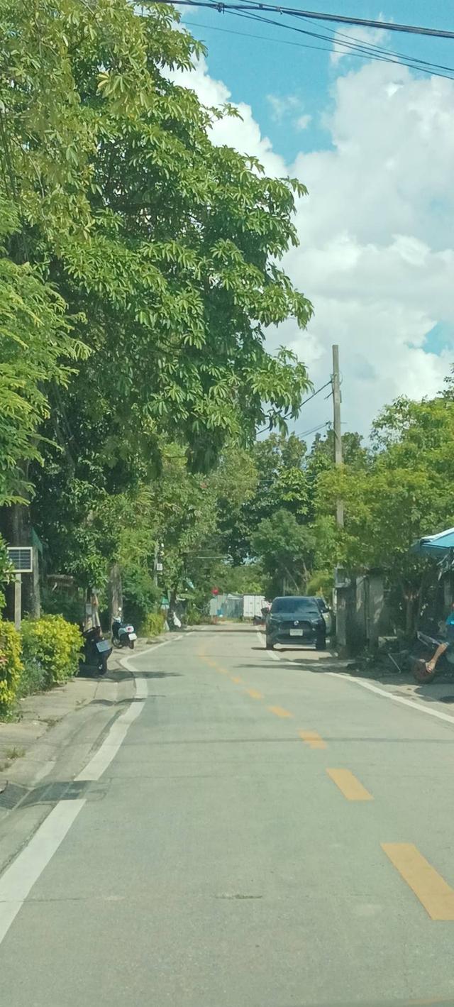 ขายที่ด่วนใกล้วัดจำปา ตลิ่งชัน 175ตรว. 5