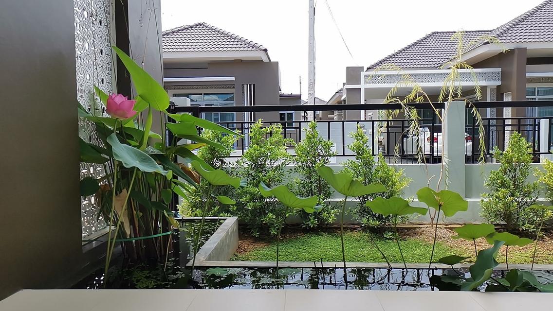 บ้านเดี่ยวหมู่บ้านเดอะเลควิว ทำเลดีใกล้ทะเลสาบ 6