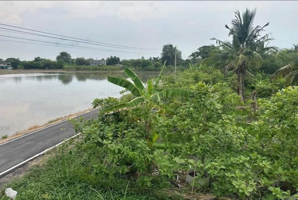 ขายที่ดินลาดหลุมแก้ว 1 ไร่ ติดถนนลาดยาง ใกล้ถนนบางบัวทอง-สุพรรณบุรี340-2.8กม. จ.ปทุมธานี 2