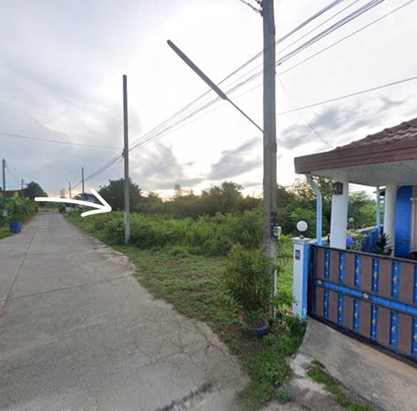 ขายที่ดิน 75 ตรว.ในชุมชน ปราณบุรี ประจวบคีรีขันธ์ ใกล้ถนนพหลโยธิน 1