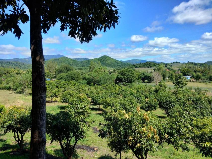ที่ดินเนินเขาวิวสวย วิวเขา 360° 15