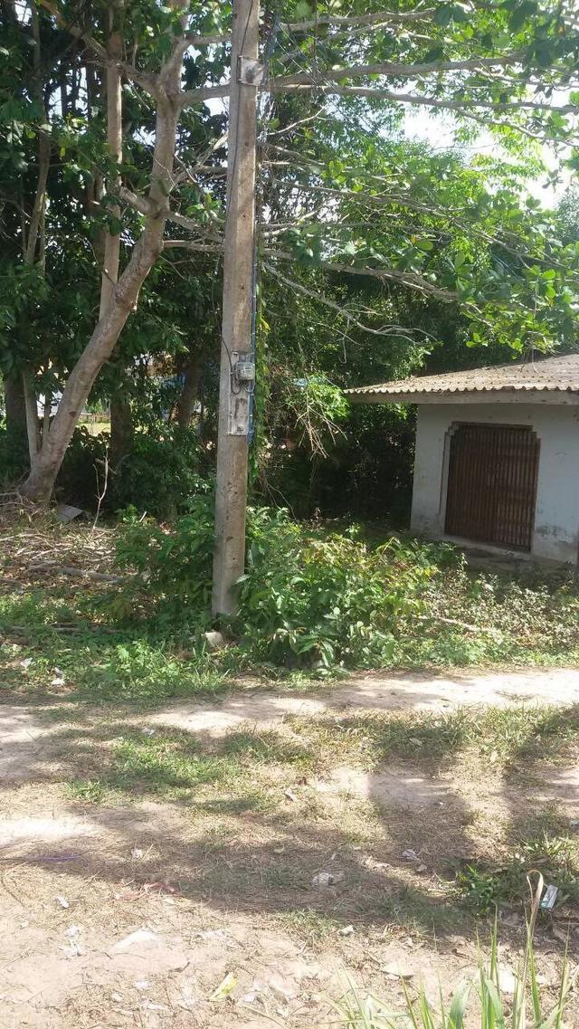 ขายที่ดินบ้าน ม.6 บ้านมะกรูด โคกโพธิ์ ปัตตานี 13
