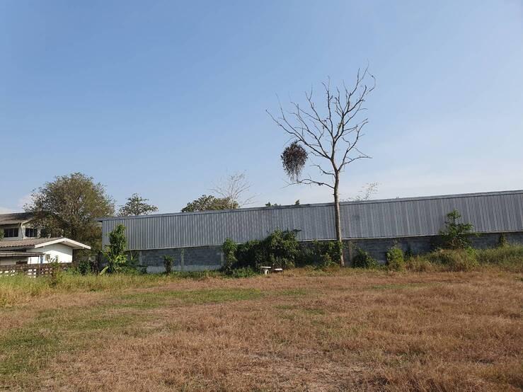 ที่ดินเปล่าให้เช่า บนถนนลำลูกกาคลอง 7 (ให้เช่าระยะสั้นและยาว จะแบ่งเช่าก็ได้) ค่าเช่าตกลงกันได้ 6