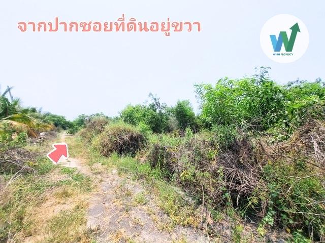 ขายที่ดิน 1 ไร่ บัวปากท่า ทำเลเชื่อม 3 จังหวัด บัวปากท่า บางเลน ใกล้จุดตัดถนน 3422 เชื่อมสุพรรณฯ-อยุธยา 6