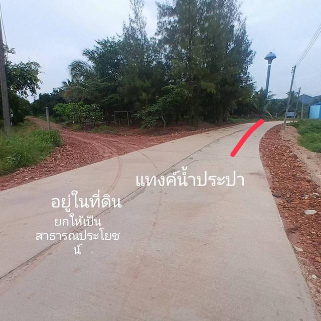 ขายที่ดิน 2 แปลง แปลงละ 45 ไร่ ต.ไร่ใหม่ อ.สามร้อยยอด จ.ประจวบคีรีขันธ์ 10