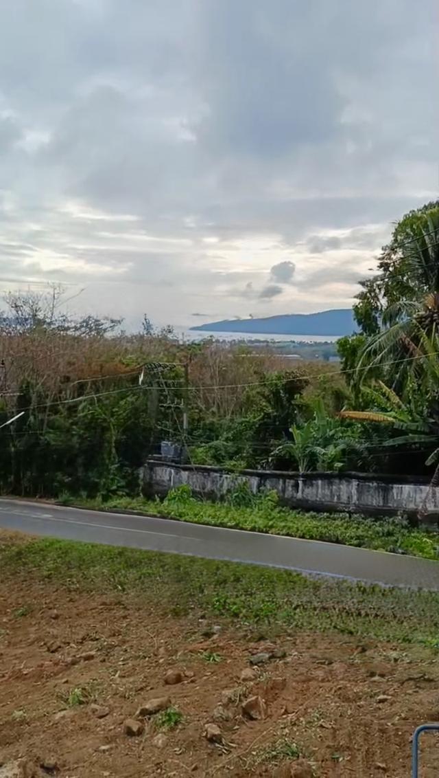 ขายที่ดินเปล่า1ไร่ ซีวิว จ.ภูเก็ต 10