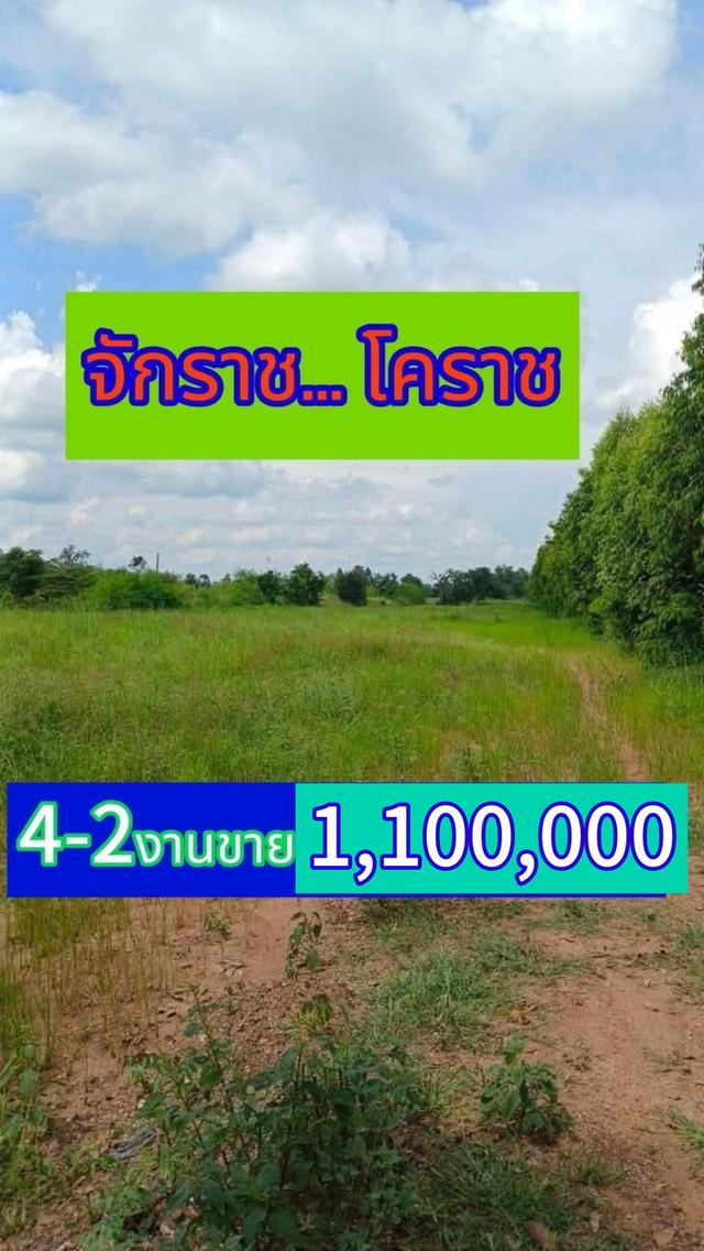 ขายถูกที่ดินอยู่ในเขตเทศบาลอำเภอจักราชจังหวัดนครราชสีมา ขนาด 4ไร่ 2 งาน 2