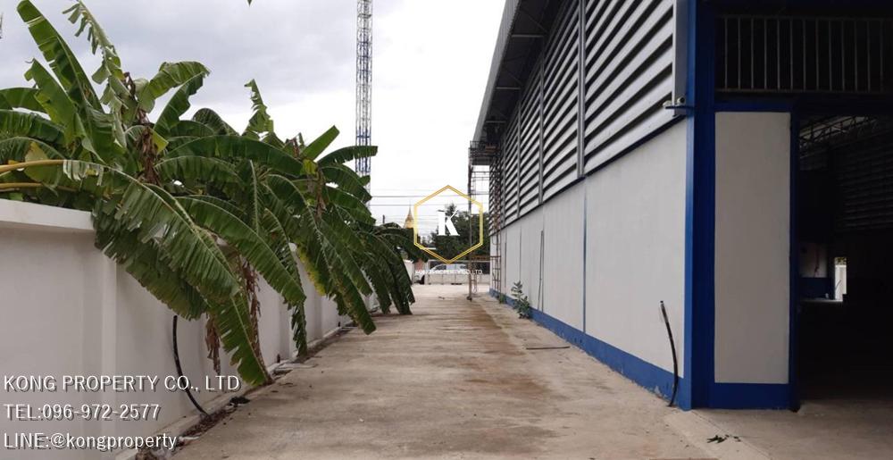 ให้เช่าโกดัง  ลาดหลุมแก้ว ปทุมธานี ใกล้แยกนพวงศ์ พื้นที่ 1 ไร่  3