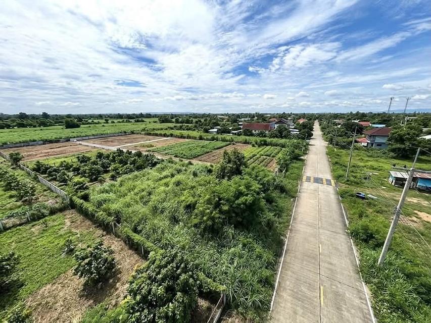 ขายด่วน!! ที่ดินเปล่าถมแล้ว 75 ตร.ว. (ซอยนุ่มประสงค์ 2) ใกล้ ม.มหิดลศาลายา โลตัสบางใหญ่ ทางด่วนประจิมรัถยา ต.ศาลากลาง อ.บางกรวย จ.นนทบุรี 1
