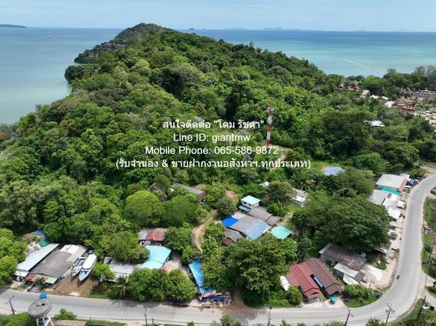 พื้นที่ดิน ขายที่ดินสวนป่า บนเนินไหล่เขา วิวทะเล (Seaview) เกาะสิเหร่ ภูเก็ต 5-0-48.7 ไร่ (ห่างชายทะเล 100 ม.), ราคา 76,
