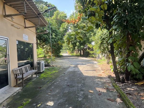 ขายที่ดิน ถนนพระราม2 ซอย28 แยก22 เขตจอมทอง กทม. พร้อมสิ่งปลูกสร้าง เป็นพื้นที่สีส้ม ขนาด 8 ไร่ 1 งาน 85 ตร.ว. โทร. 0814018666 2