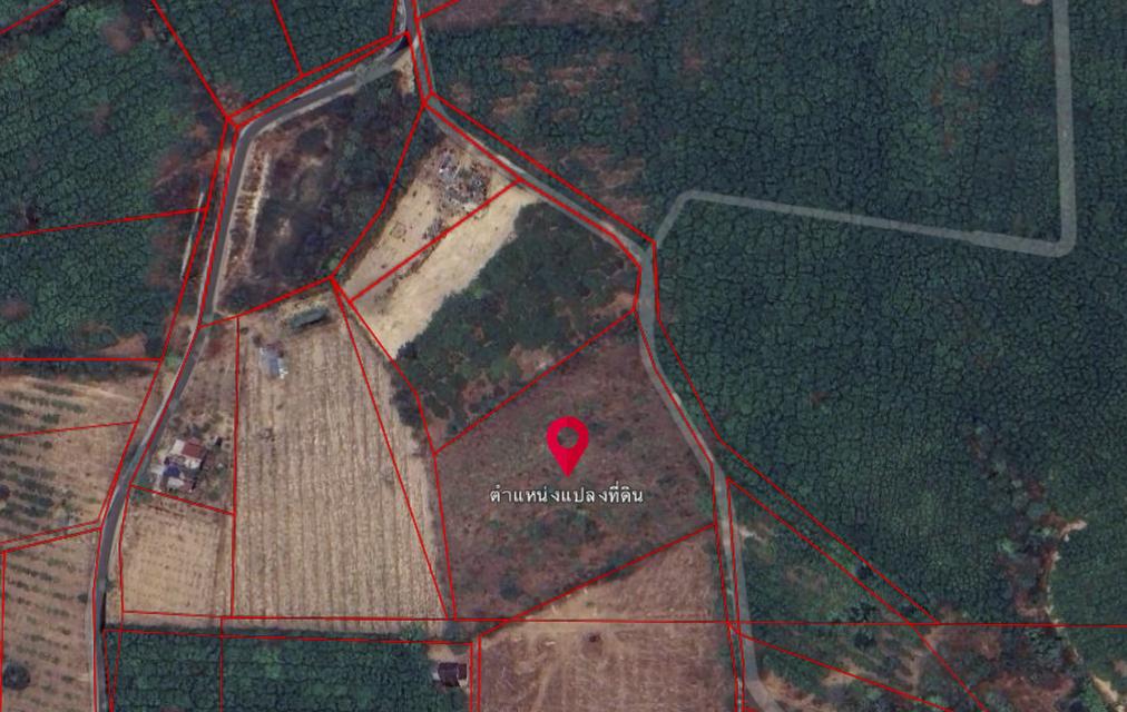 ขายที่ดิน จ.น่าน เนื้อที่ 7 ไร่ 1 งาน 54 ตร.ว. 12