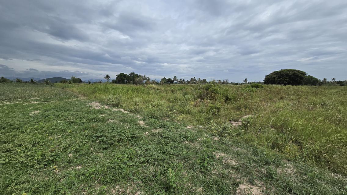 ที่ดินแปลงสวย ใกล้ทะเล ใกล้รถไฟความเร็วสูง 3