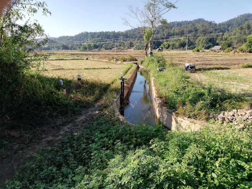 ขายที่ดินติดแม่น้ำแม่สะงา - แม่ฮ่องสอน 10