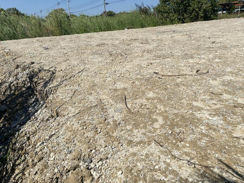 ขายที่ดินเปล่าไกล้สนามบินสุวรรณภูมิ 10