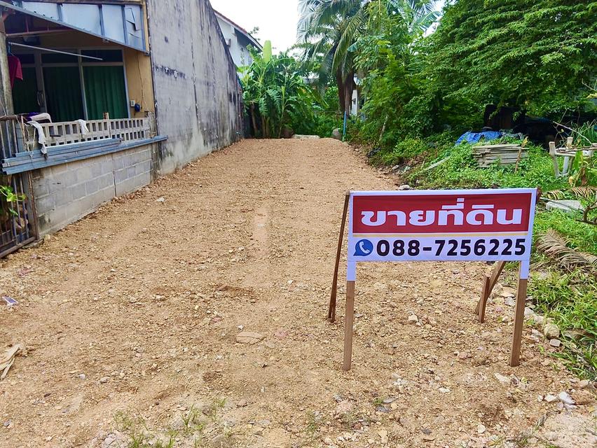 ขายที่ดิน 25 ตารางวา ถนน 30 เมตร สงขลา 4