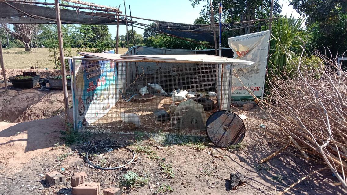 ขายที่ดิน อ.ขามทะเลสอ จ.นครราชสีมา โทร.0816121774 3