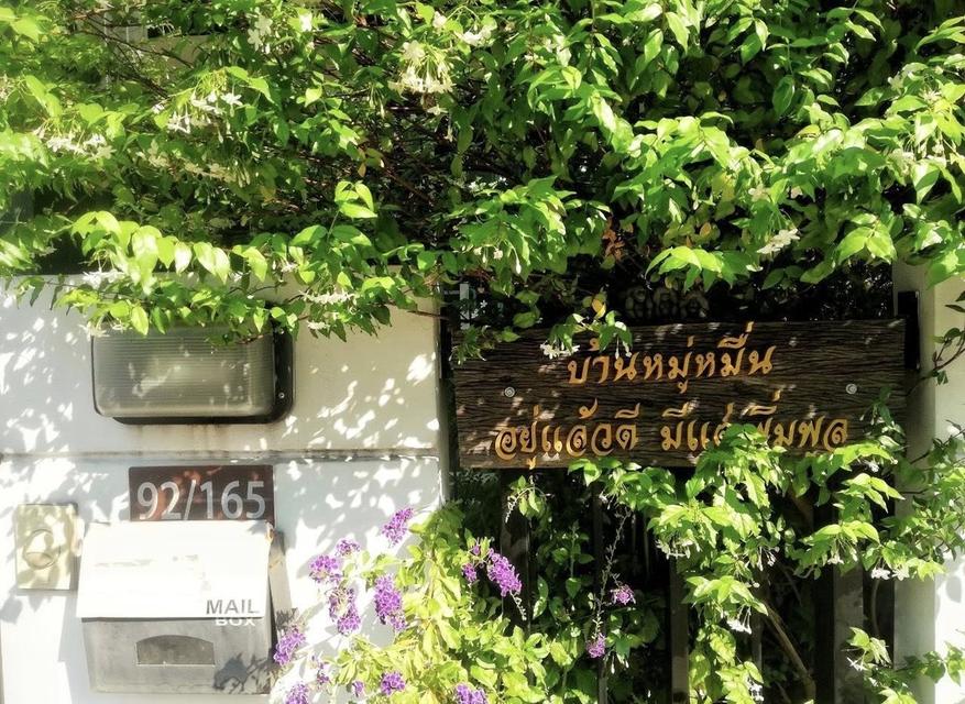บ้าน พฤกษา ไพร์ม สถานีรถไฟฟ้า บางพลู-ราชพฤกษ์   13