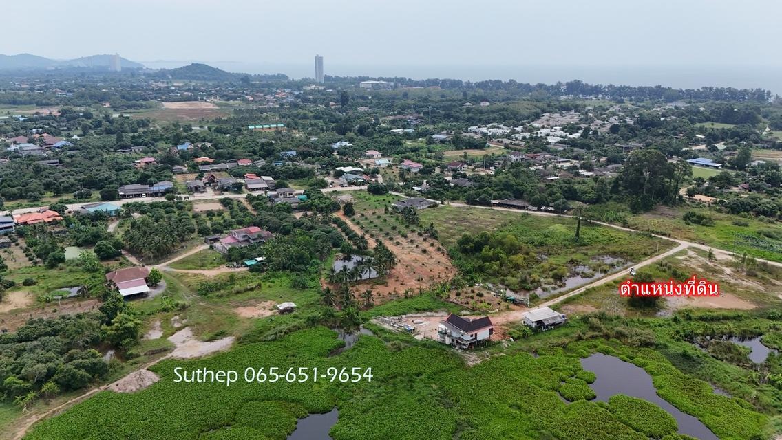 ขายที่ดินถมแล้ว 1-3-38 ไร่ ใกล้หาดแม่รำพึง 1 กม. ไฟฟ้า ประปาพร้อม ตะพง ระยอง 6