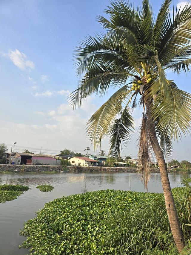 ให้เช่าห้องพักรายวัน รายเดือน อยู่ตำบลบางปลา อำเภอบางเลน นครปฐม 7