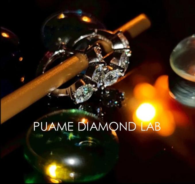 ต่างหูเพชรแท้ เพชรคัดสรรอย่างพิถีพิถัน ดีไซน์โดดเด่น งานผีมือละเอียดประณีต พร้อมใบรับประกันสินค้าที่ปุอามี่ Diamond Lap Rama2 (095-8894732)