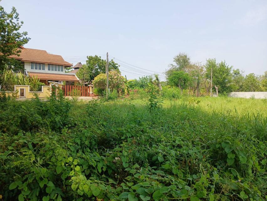 ขายที่ดินโซนด้านหลังโรงเรียนวารีเชียงใหม่ เดินทางสะดวก เข้า-ออกได้หลายทาง บรรยากาศร่มรื่น เงียบสงบ เพียงตารางวาละ 24,725 บาท 15