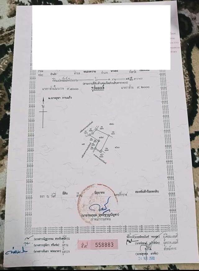 ที่ดินสวนลำไย ต.หนองควาย อ.หางดง 9