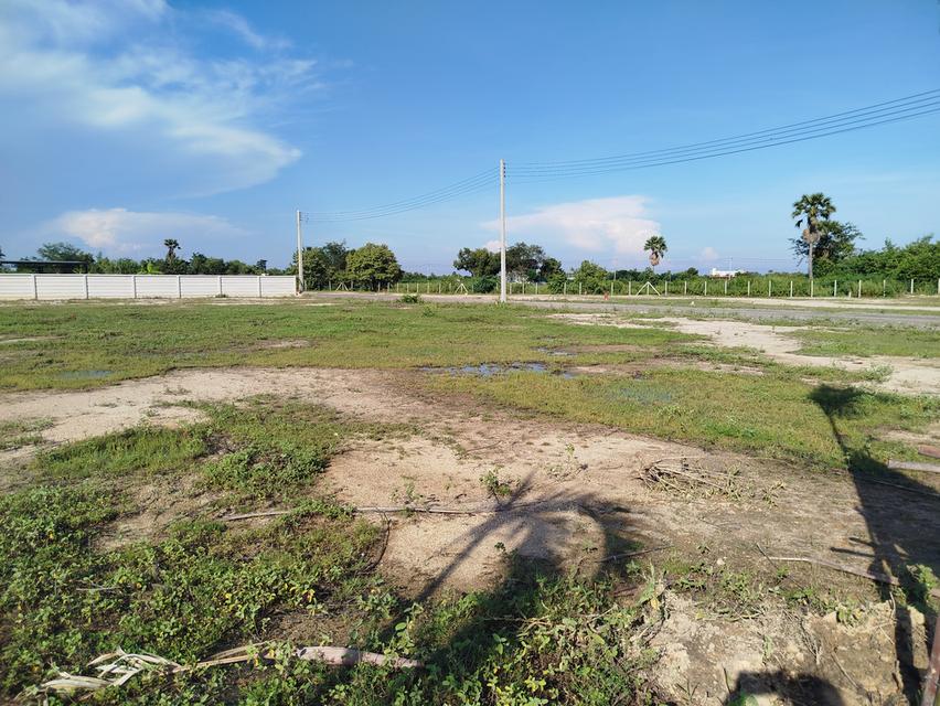 ที่ดินชะอำ 3