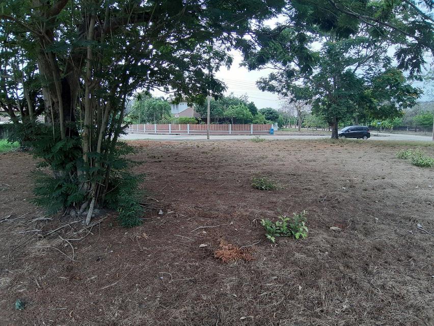 ⛳ เหมาะสำหรับปลูกสร้างบ้าน 🏡ในโครงการหมู่บ้านเดอะลากูน1 อำเภอสามโคก จังหวัดปทุมธานี ติดละเลสาป 5