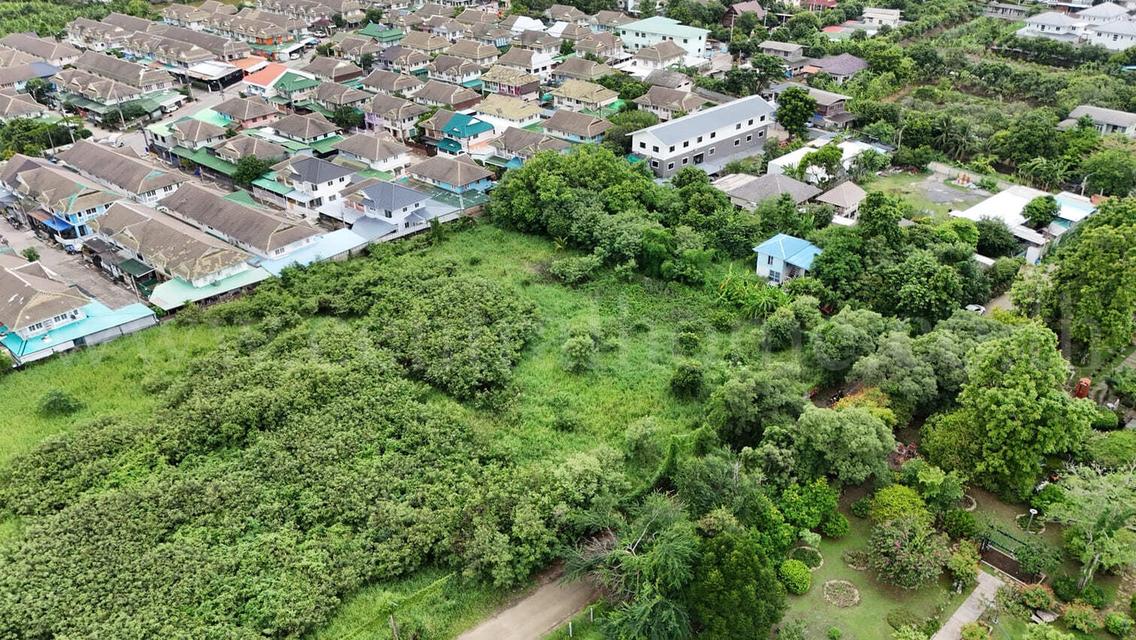 ที่ดินเปล่า 700 ตร.วา บางใหญ่ - นนทบุรี ถมแล้ว  5