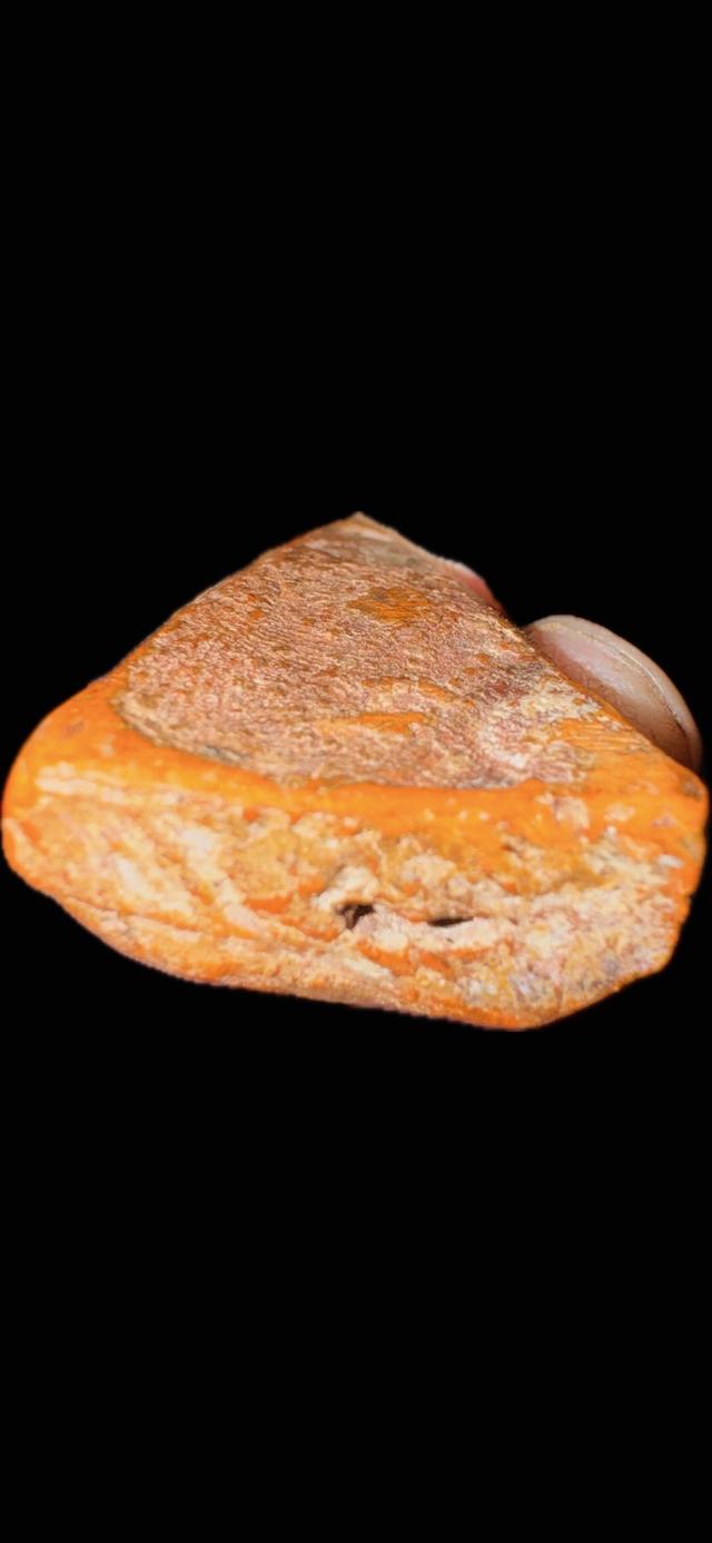 พระสมเด็จนางพญา กุนางพญา 13