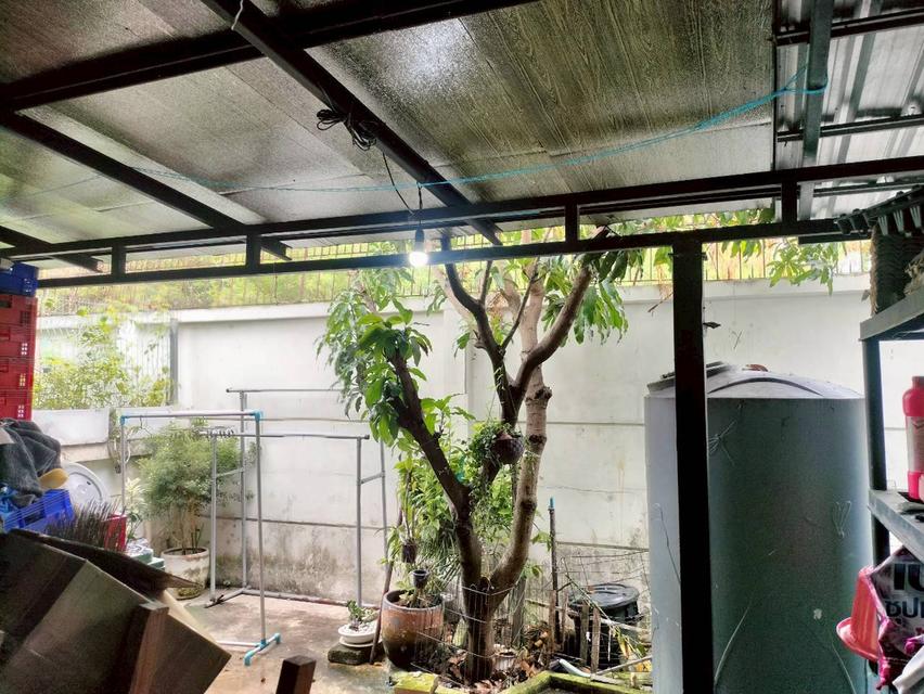 🎈ให้เช่า 🏡บ้านเดี่ยว 2 ชั้น ครึ่ง เนื้อที่ 67 ตร.ว. หมู่บ้าน เอโทล มัลดีฟส์ บีช หนามแดง-บางพลี 5 ห้องนอน 3 ห้องน้ำ พื้นที่ใช้สอยเยอะมาก🎈 20