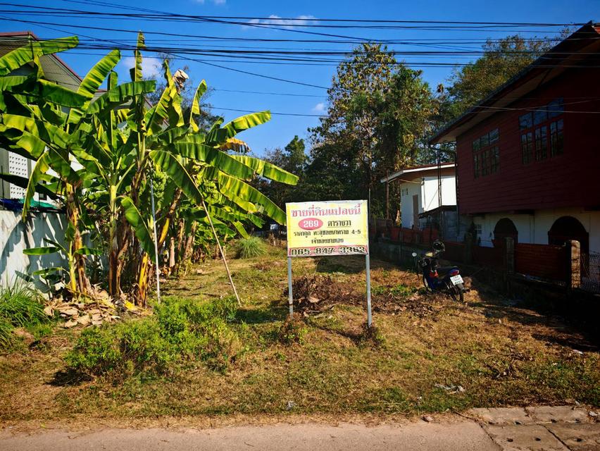 ขายที่ดินสวย ใกล้ทางหลวง ตำบลหนองบัว เมืองอุดรธานี รูปที่ 6