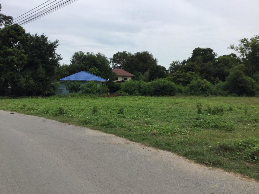 ที่ดิน นครปฐม 2 แปลง ที่สวยมาก 1