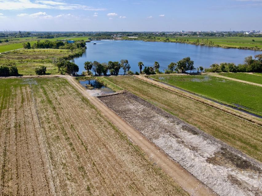 ที่ดินคลอง 8 ลำลูกกา ปทุมธานี เนื้อที่ 1 ไร่ 8