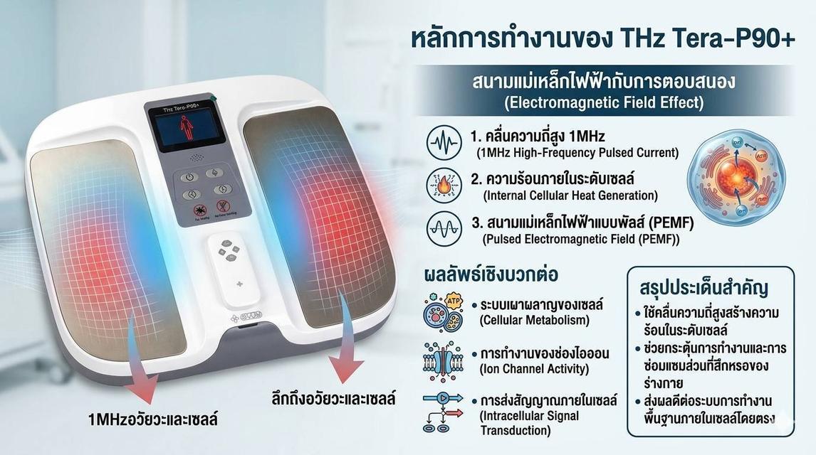 OlyLife THz Tera-P90+ รูปย่อยที่ 2