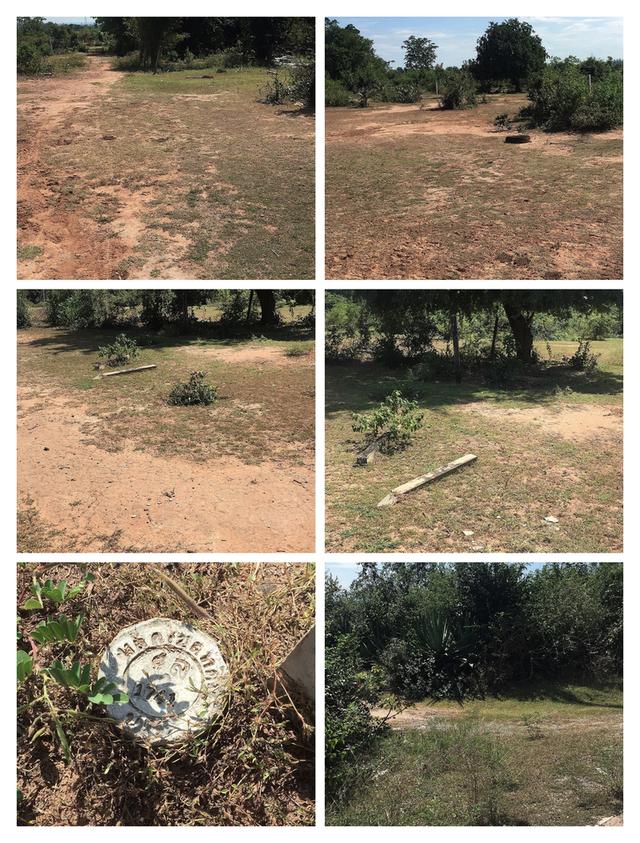 ที่ดินเปล่า 1 ไร่ อ.สีคิ้ว จ.นครราชสีมา 2