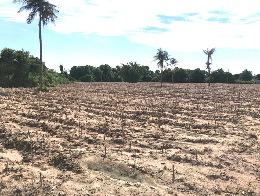 ขายที่ดินพื้นที่สีม่วงลาย เนื้อที่ 15-1-17ไร่ ตำบลบึง ศรีราชา ชลบุรี ใกล้นิคมปิ่นทอง 1,2,3,4 ที่ดินเหมาะพัฒนาอุตสาหกรรม โกดัง-โรงงานผังเมือง EEC 5