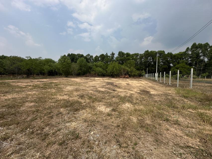 ขายที่ดินเปล่า 2 ไร่ ใกล้โรงเรียนเตรียมทหาร ตำบลศรีกะอาง อำเภอบ้านนา จังหวัดนครนายก 2