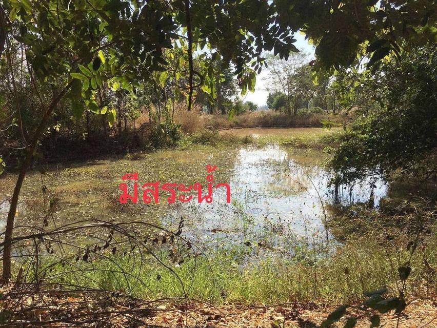 สวนเกษตรครบวงจร 52 ไร่ ราคาถูก อ.เมืองพิจิตร ขนาด 52 ไร่ 1 งาน 27 ตารา 1