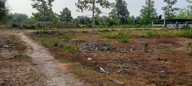 ที่ดิน ที่ดิน ใกล้ม.วลัยลักษณ์ จ.นครศรีธรรมราช 10309500 THAI BAHT ใกล้ ห่าง ม.วลัยลักษณ์ จ.นครศรีธรรมราช ประมาณ 1 กม. โค รูปที่ 7